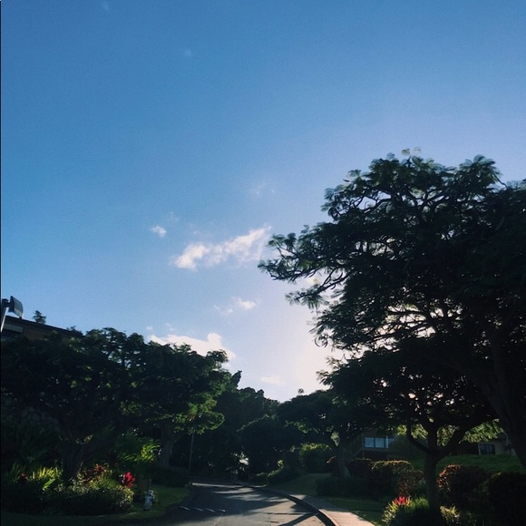 Meet your Posher, Isobel - Picture 1 of 1